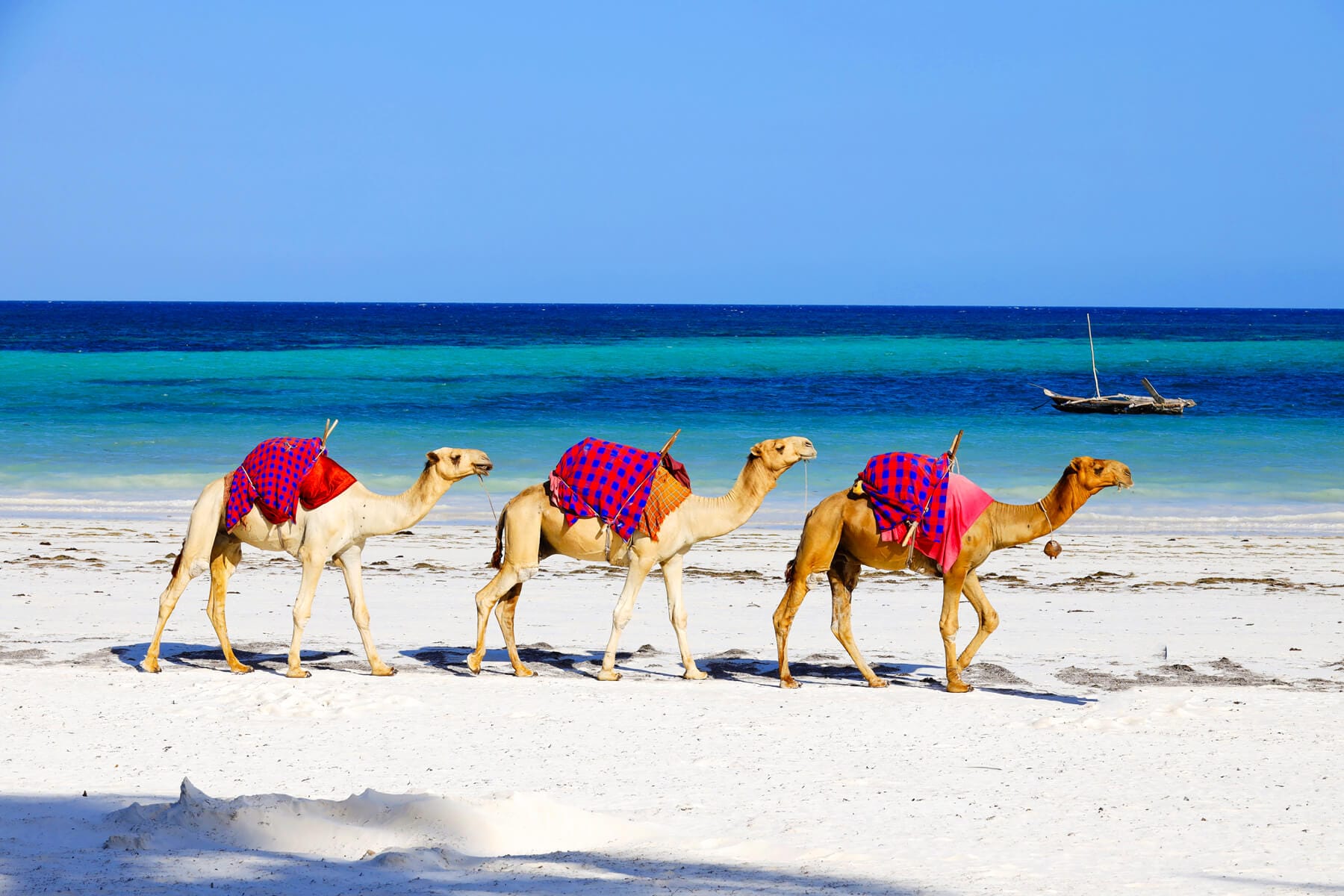 Diani Beach