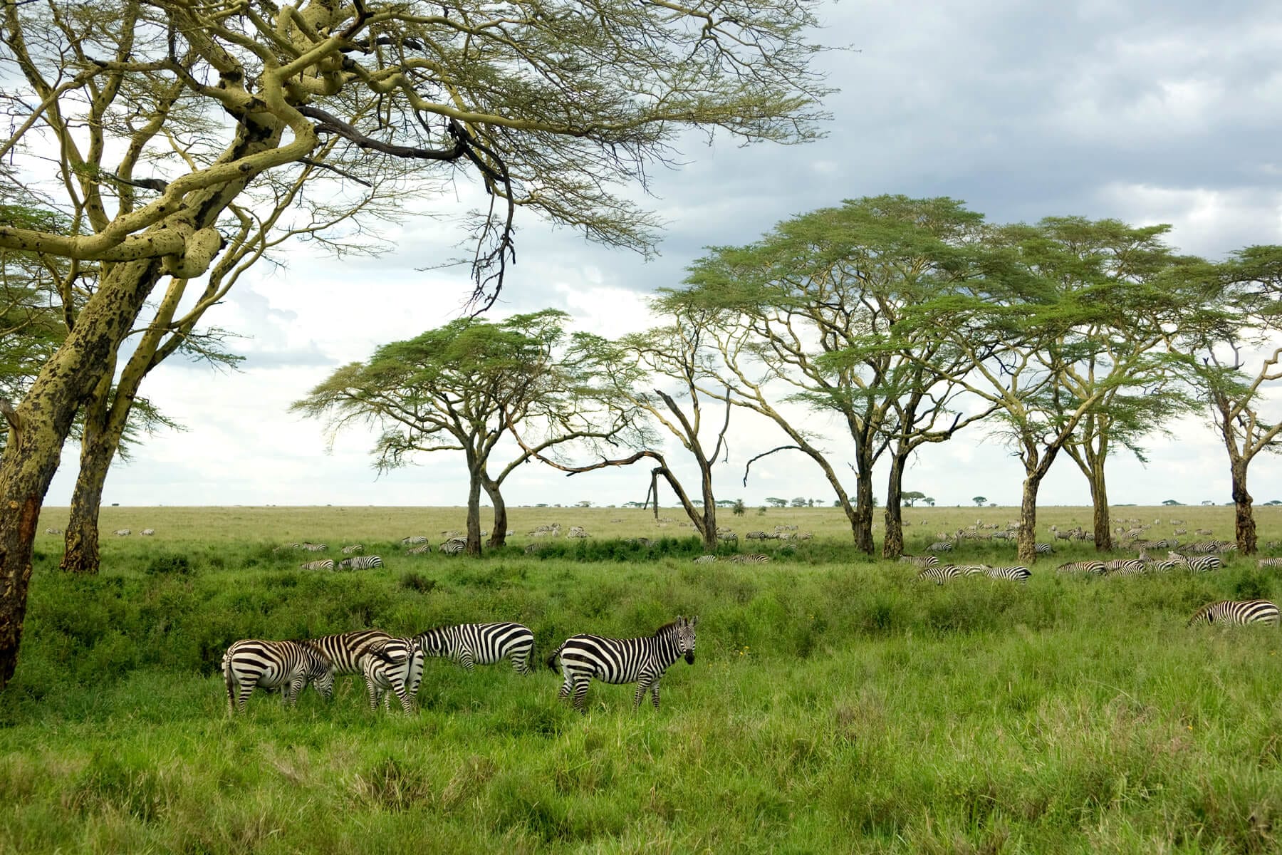 Laikipia