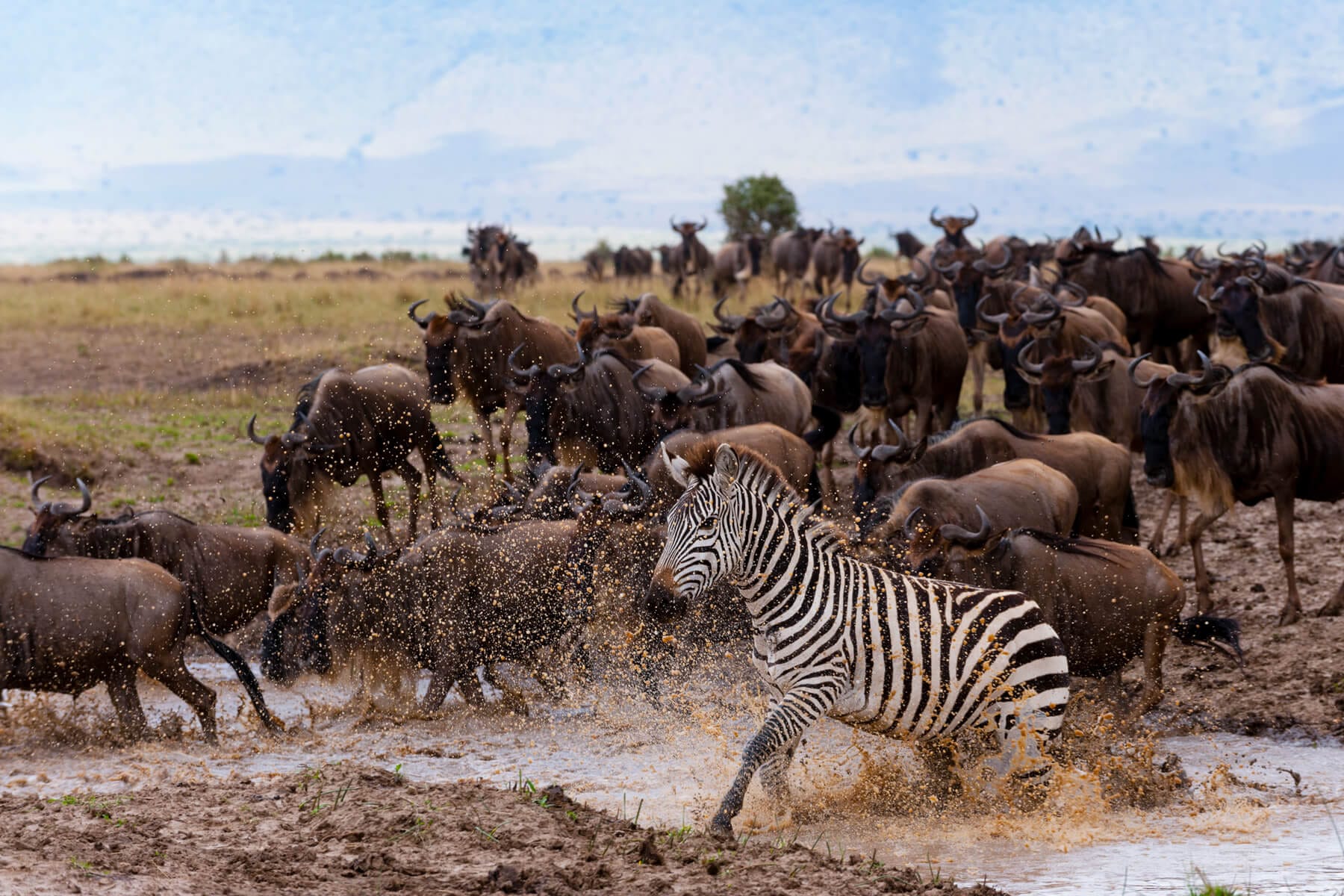 Maasai Mara National Reserve