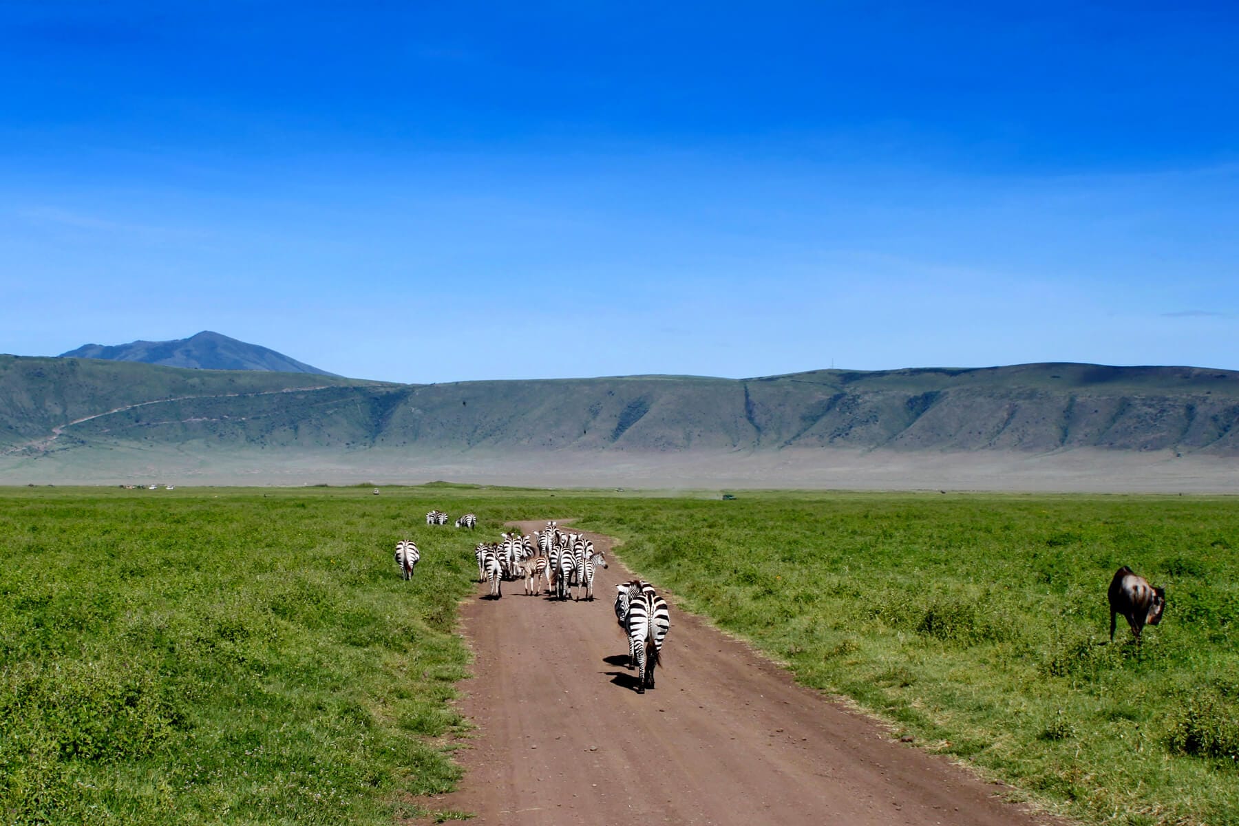 Ngorongoro Crater