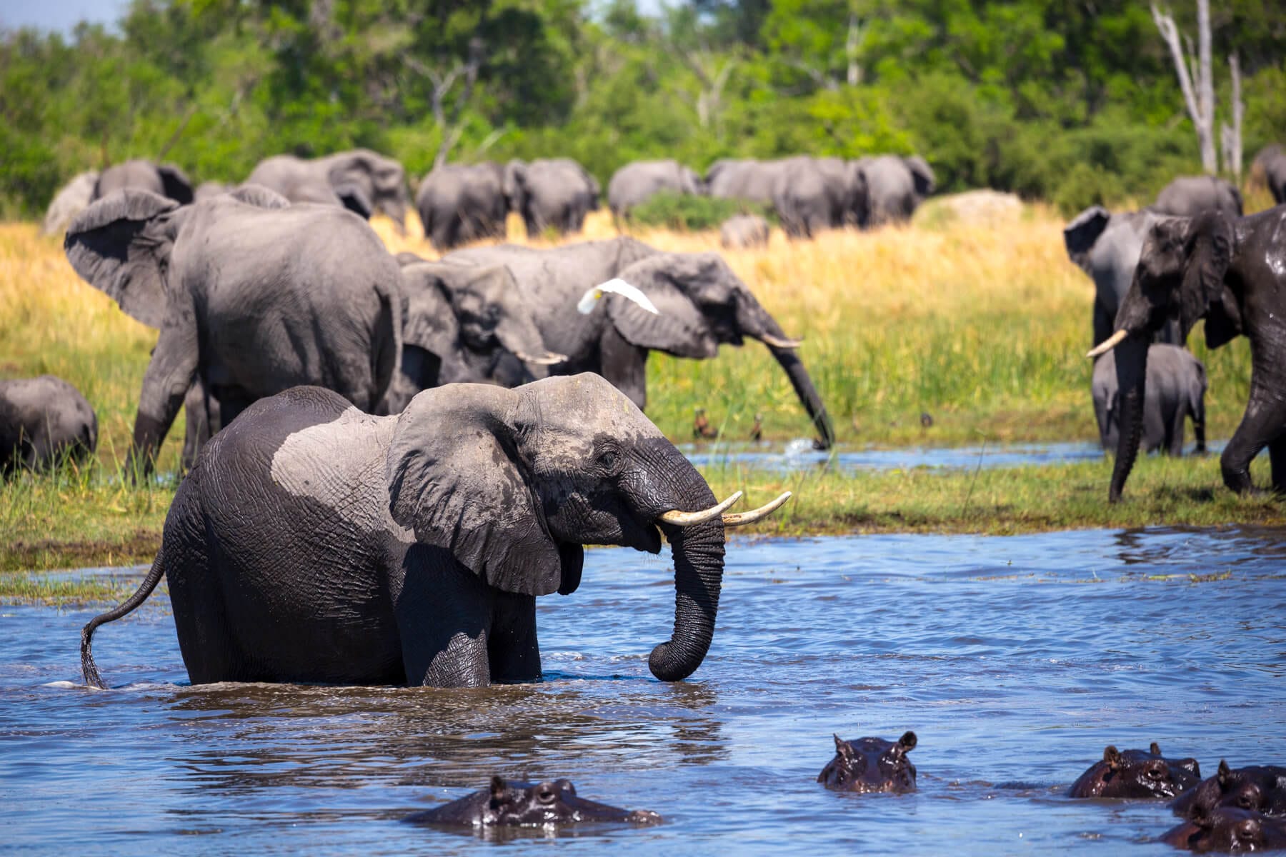 Tarangire National Park