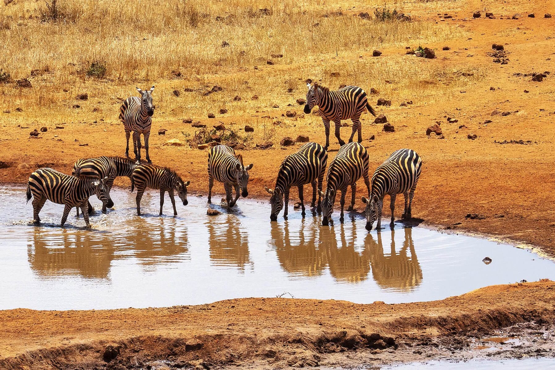 Tsavo National Parks